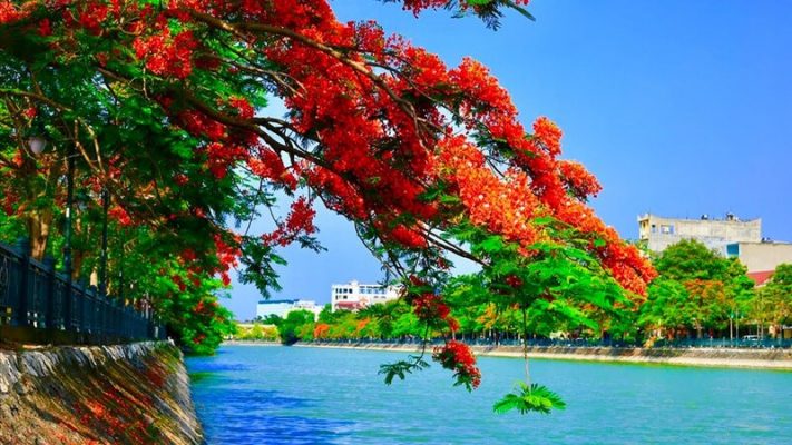 Trung Tâm Sửa Chữa Và Bảo Hành Điện Lạnh Tại Hải Phòng Uy Tín, Chất lượng